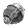 CAUTEX 250052 Mounting, manual transmission